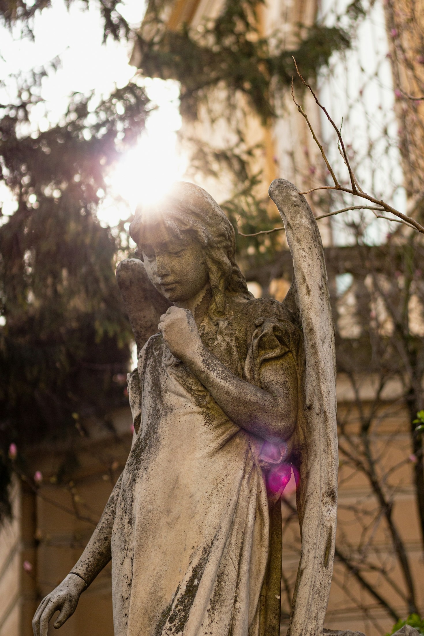 A Journey to Inner Peace Through Angelic Guidance